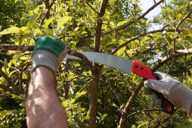 Apple Tree Pruning in Pottstown, PA