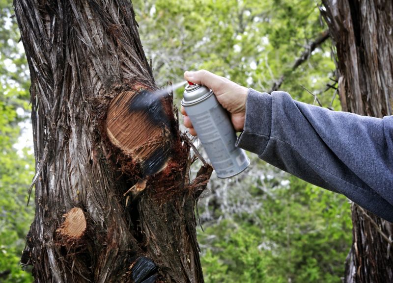 Birch Tree Pruning in Aiken, SC