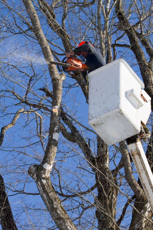 Tree Services detail
