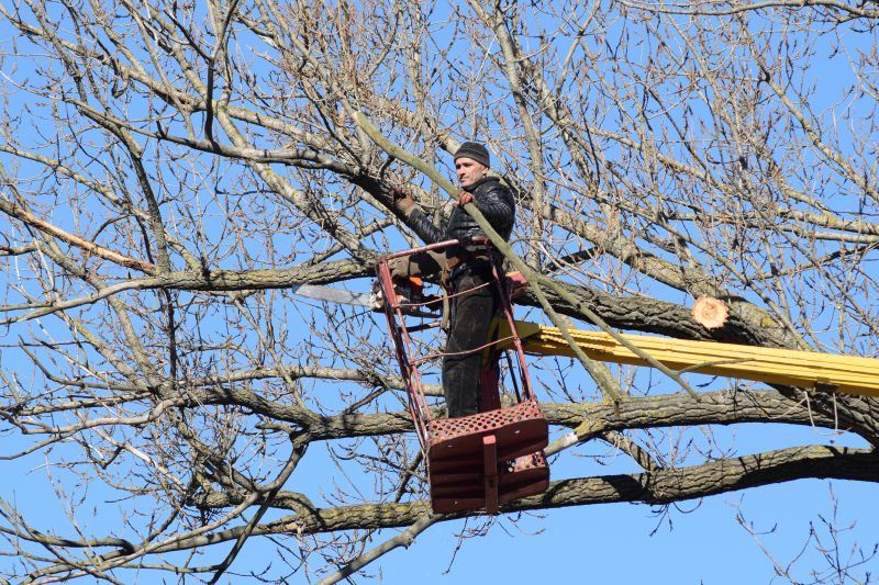 Tree Services detail