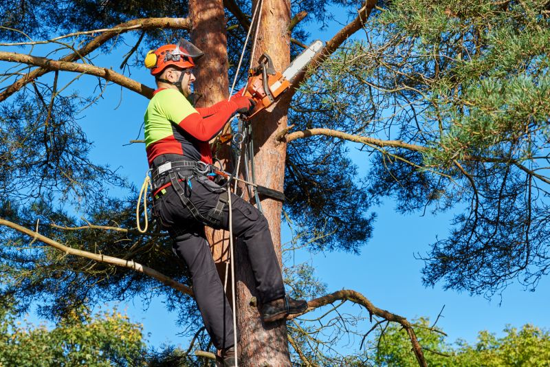 Tree Services detail