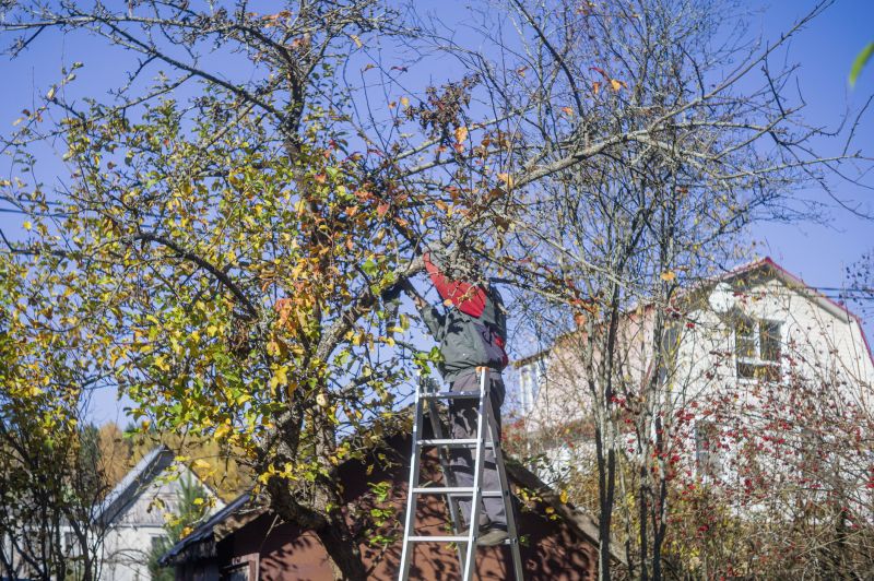Tree Lopping Service